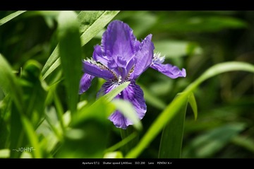 IMGP6324.jpg