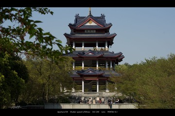 IMGP8795.jpg