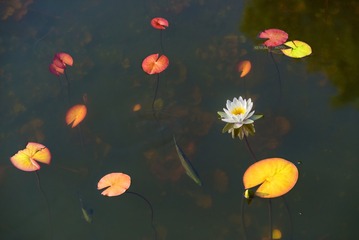 _DSC4535