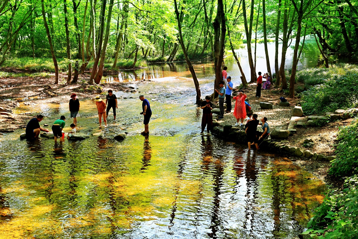 黄山西溪南湿地