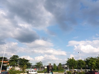 113