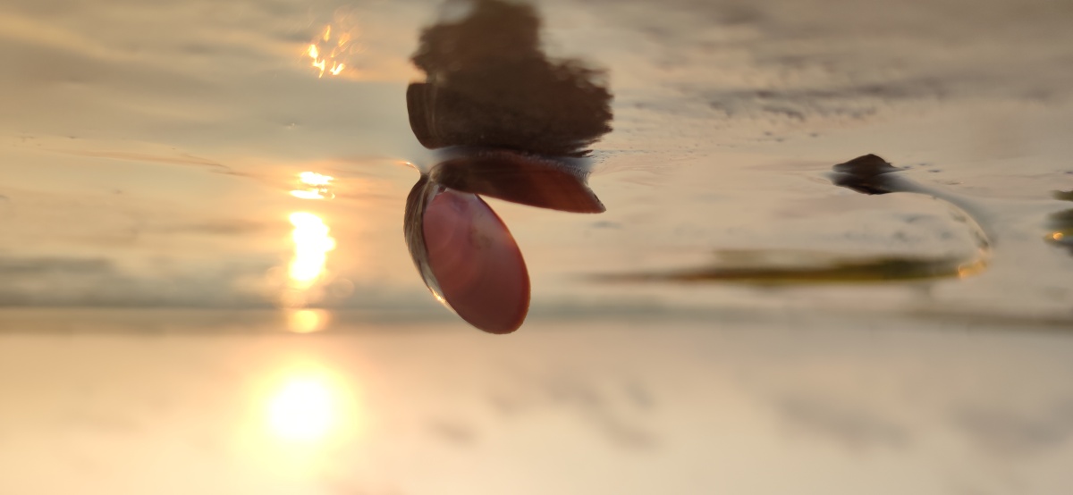 一个人在海边散步吹着海风看着日出安静惬意这就是我向往的生活25