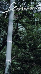 07ABFEF5-3B7D-46E8-ABDD-CCBF3743EEA8/L0/001