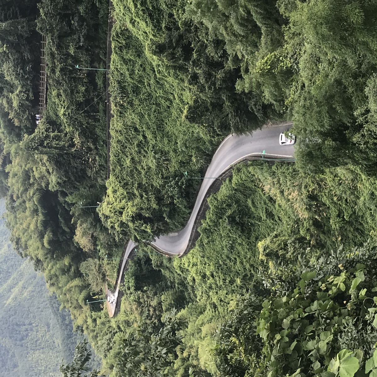 山路绵绵据说是未来的杭州亚运会山地自行车赛道