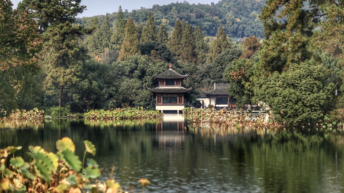 西湖秋色曲院风荷