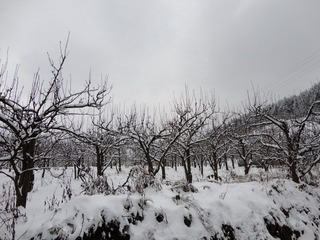 DSC00140.JPG