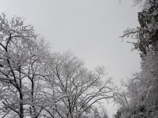 DSC00170.JPG