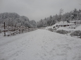 DSC00212.JPG