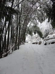 DSC00223.JPG