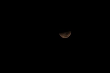 IMGP0359.JPG