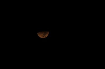 IMGP0532.JPG