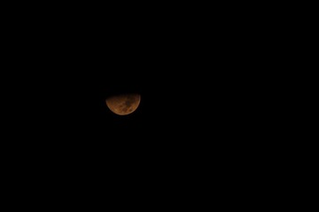IMGP0533.JPG