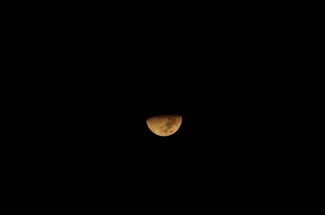 IMGP0544.JPG