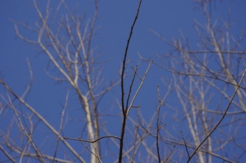 IMGP1368.JPG