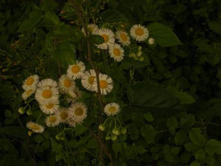 A7ED20E8-D4F7-4B96-B533-489CB9496044/L0/001
