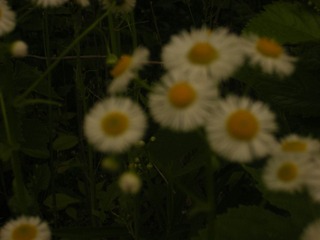 F8934525-2AAE-431B-8D36-41F313DE3767/L0/001