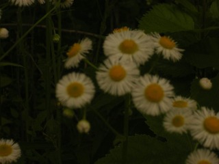 A1658B58-F168-4302-BC1D-42205819F290/L0/001