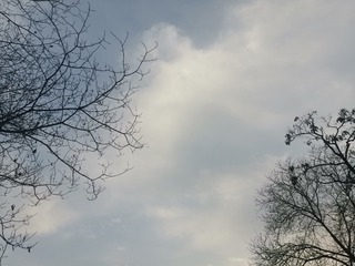 1276385