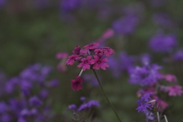 03949E44-8489-4A2F-AAB2-A711B9E51D35/L0/001