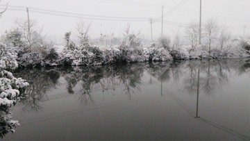 66021
