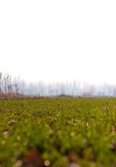 IMG_3075.jpg