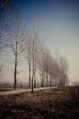IMG_3100-2.jpg