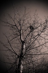 IMG_3102.jpg