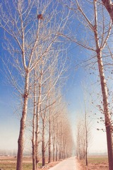 IMG_3119.jpg