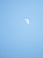 NT2I6991.jpg
