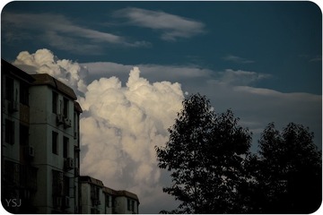 IMG_0951.jpg