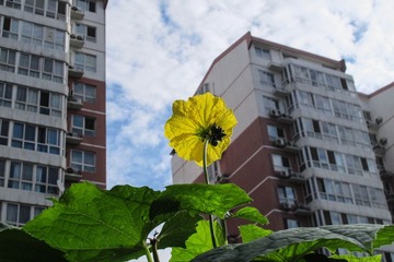 IMG_0963.jpg