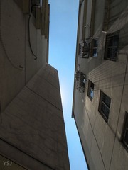 IMG_0987.jpg