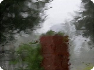 IMG_1152.jpg