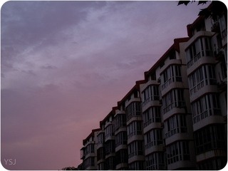 IMG_1229.jpg