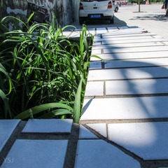 IMG_1295.jpg