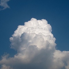 IMG_1309.jpg