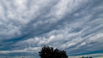 IMG_1333.jpg
