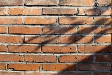 IMG_1345.jpg