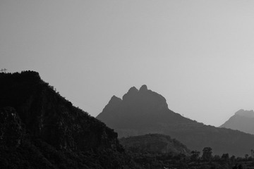 IMG_1354.jpg