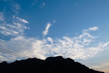 IMG_1366.jpg