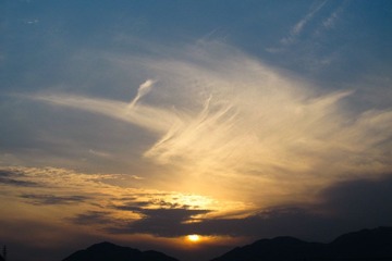 IMG_1371.jpg