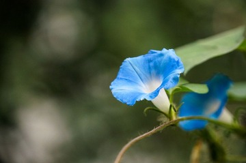 DSC00370.jpg