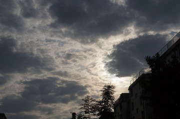 DSC00365.jpg
