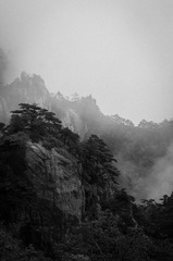 DSC00495.jpg