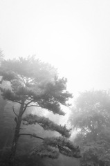 DSC00433.jpg