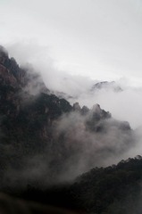 DSC00455.jpg