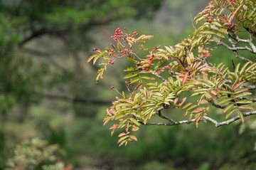 DSC00573.jpg