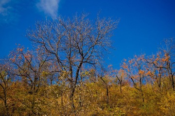 DSC02327.jpg