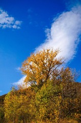 DSC02325.jpg