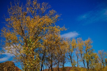 DSC02323.jpg